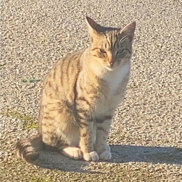 💕TRADE💕 - Picture 7 of 13